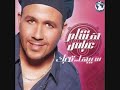 Habibak Ana - Hisham Abbas w/ lyrics + translation