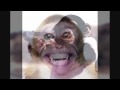 I WANT YOU 1234 SEXY CHICK GIRL DJ FABIAN7UP CRAZY MONKEY