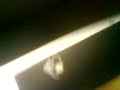 Alexa-dancingg-like-