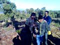 Tombo do chefe da mocidade de Pala�oulo