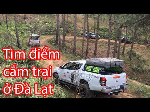 Đi tìm điểm cắm trại trong rừng ở Đà Lạt