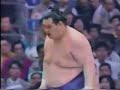 sumo