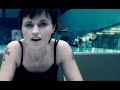 Cranberries - Analyse
