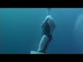 Fifty Fathoms Undewater Fifty Fathoms Undewater