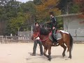 練習風景1 　2009年10月25日