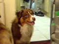 tyson and benji