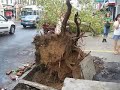 Bay Ridge, brooklyn disaster/tornado