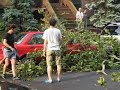 Bay Ridge, brooklyn disaster/tornado Bay Ridge, brooklyn disaster/tornado