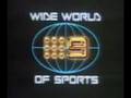 1982 Wimbledom Intro [1982]