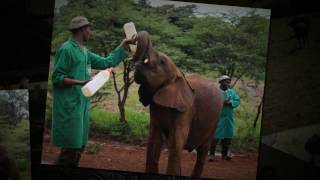 Kenya: The Highlights Video
