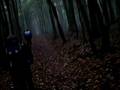 VTT FORET DE MORMAL 5