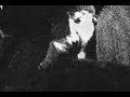 No Trigger - Earthtones