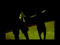 edgardo bailando edgardo bailando