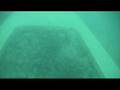 Attersee Nautilus