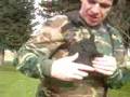 vertical shoulder holster,