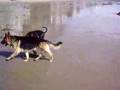 Deez & Koby @ the beach