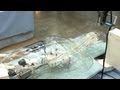 Brain artery model simulates cerebral function #DigInfo