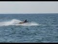 Esercitazione moto d\ Esercitazione moto d\