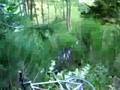 vtt en auvergne