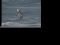 eleazar Alonso WINDSURF 5 de mayo. 2008