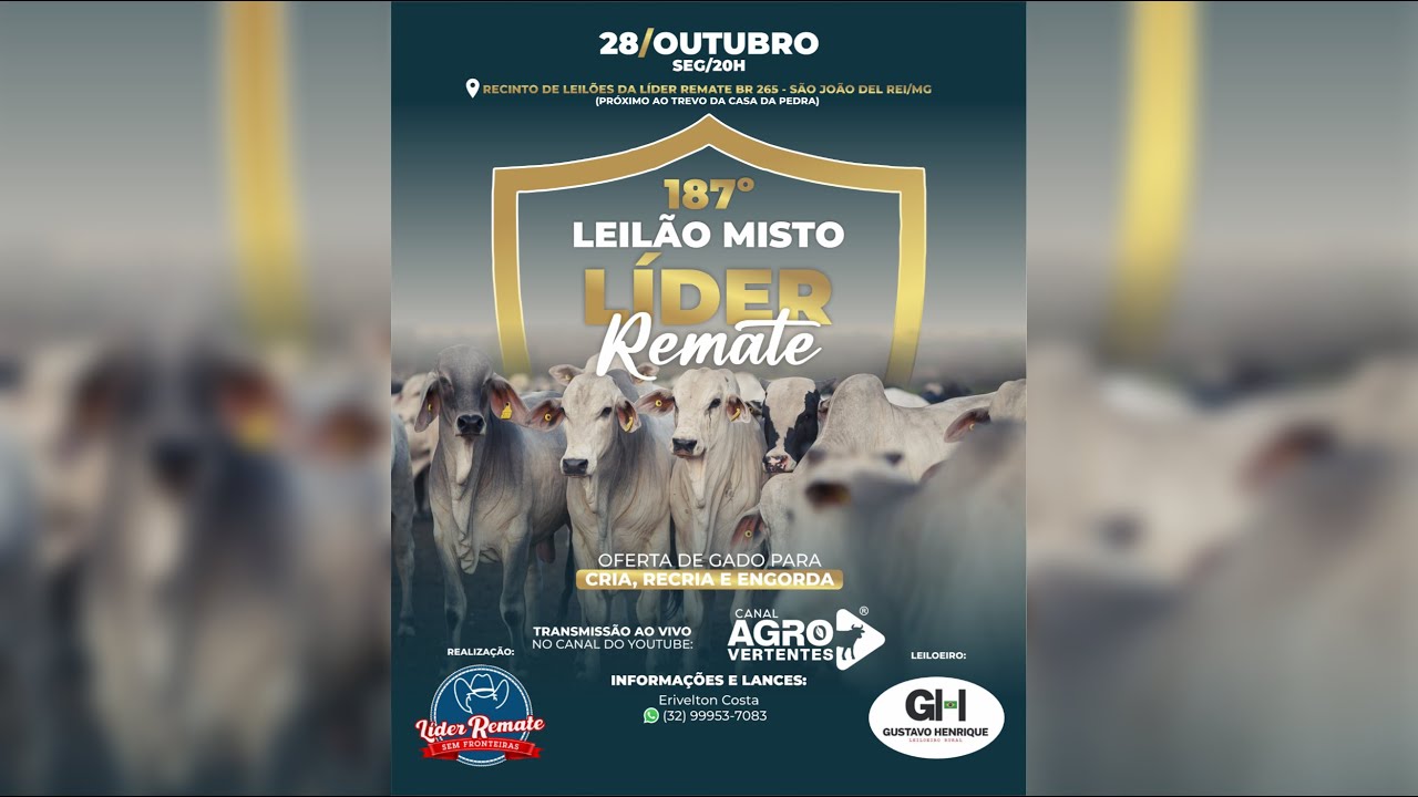 187º LEILÃO MISTO LÍDER REMATE - 28/10/2024