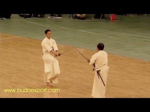 0 33th All Japan Kobudo (2010)
