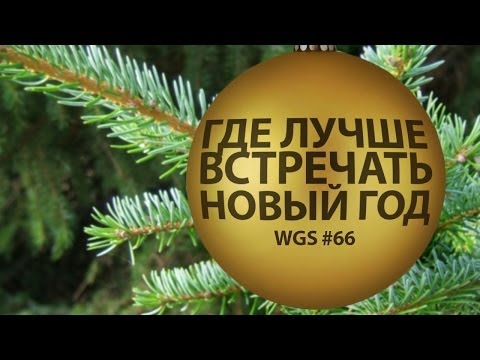 ГДЕ ОТМЕТИТЬ НОВЫЙ ГОД (WhiteGoldSpb #66)