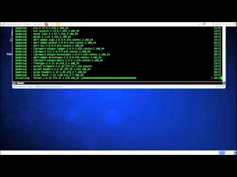 how to perform yum update