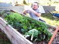 harvesting the crop harvesting the crop