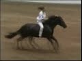 Stacy Westfall and Wizards BabyDoll (horsemanship)