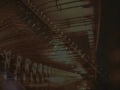 Performance by Player-573 and Quartet.cc