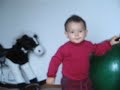 Mithu playing with mouse and cheese Mithu playing with mouse and cheese