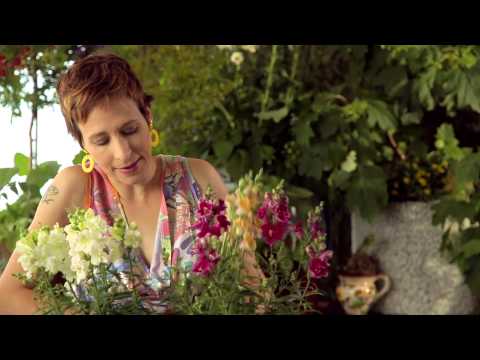 Sabines Gartenschule: Blumen pflanzen