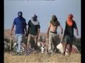 Settlers Beat Up Palestinian Shepherds
