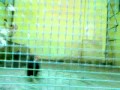 Coimbatore Zoo