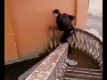 tu u lshu shkallve te pranveres