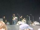 pete wylie and the mighty wah live at knowsley hall music festival