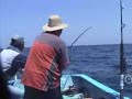 pesca jurel BCS