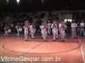 Festival de Bandas e Fanfarras Gaspar 2007