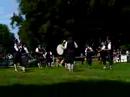 Scottish Volunteers