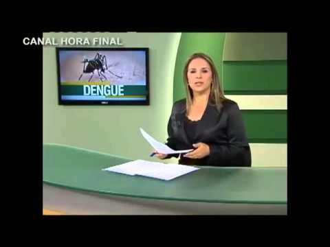 DENGUE - MILHÕES de mosquitos transgênicos soltos & AUMENTO dos casos de dengue em 2013