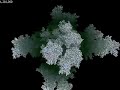 3D Diffusion Limited Aggregation