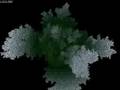 3D Diffusion Limited Aggregation