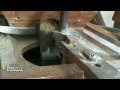 Wilhelm-Busch-Mühle - Eichsfeld - Urlaub mitten in Deutschland