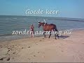Zeepaard Zeepaard
