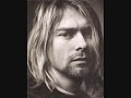 Kurt Cobain Tribute Kurt Cobain Tribute