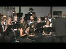 Woodcreek HS Band Spirit of the Falcon