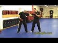 The Choy Lay Fut Project: #3 - Chaap Choih