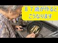 【簡単おかず！イワシのうま煮】旨味いっぱい！小骨もやわらかい！