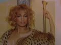 The Vixen Diaries